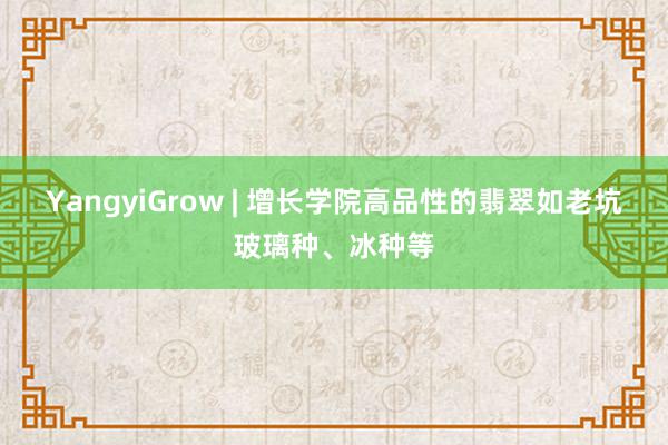 YangyiGrow | 增长学院高品性的翡翠如老坑玻璃种、冰种等