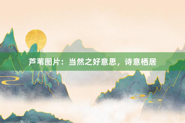 芦苇图片：当然之好意思，诗意栖居