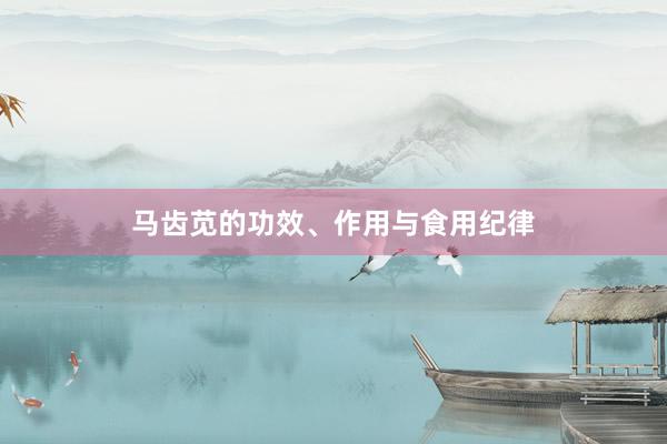 马齿苋的功效、作用与食用纪律