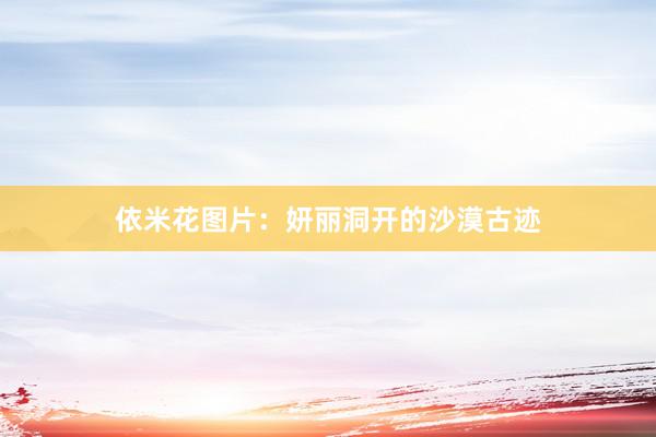 依米花图片：妍丽洞开的沙漠古迹